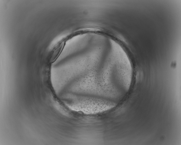 X0000112901448200909181924