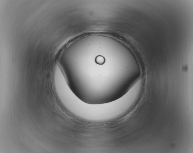 X0000112901449200909181924