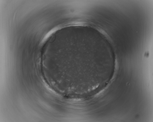 X0000112901450200909181924