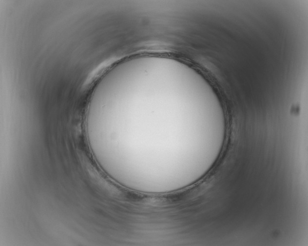 X0000112901451200909181924