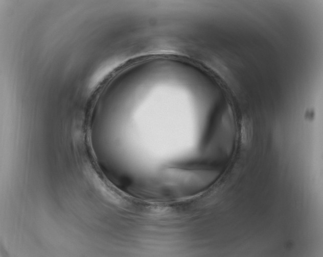 X0000112901452200909181924
