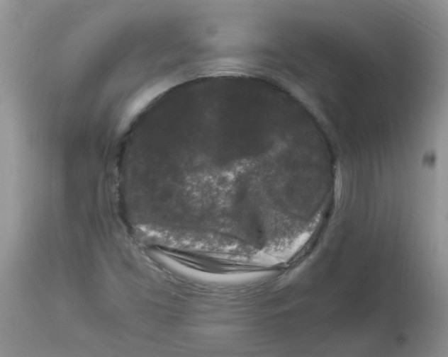 X0000112901453200909181924