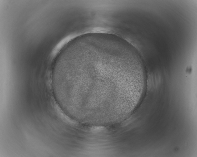 X0000112901454200909181924