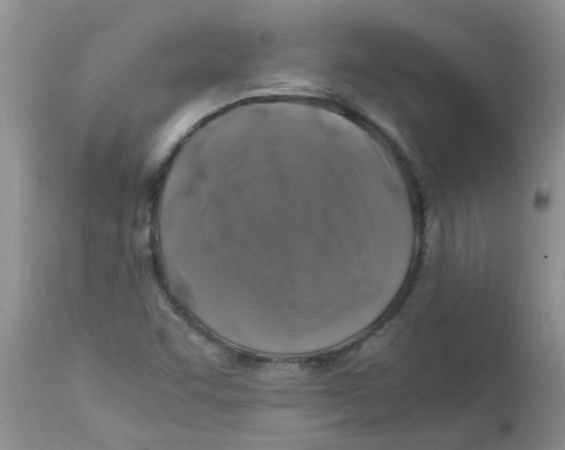 X0000112901455200909181924