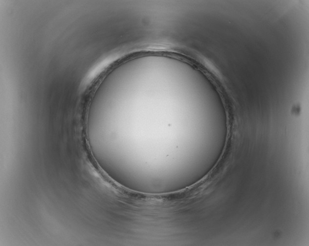 X0000112901456200909181924