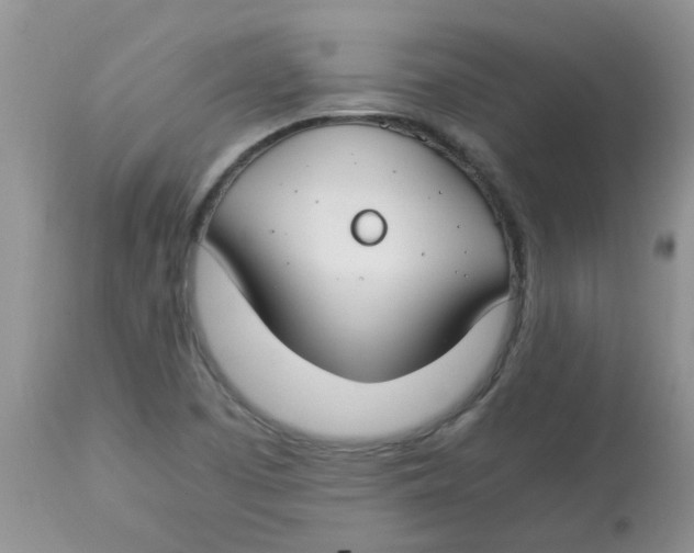 X0000112901457200909181924