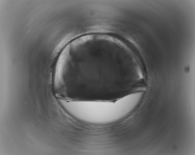 X0000112901459200909181924