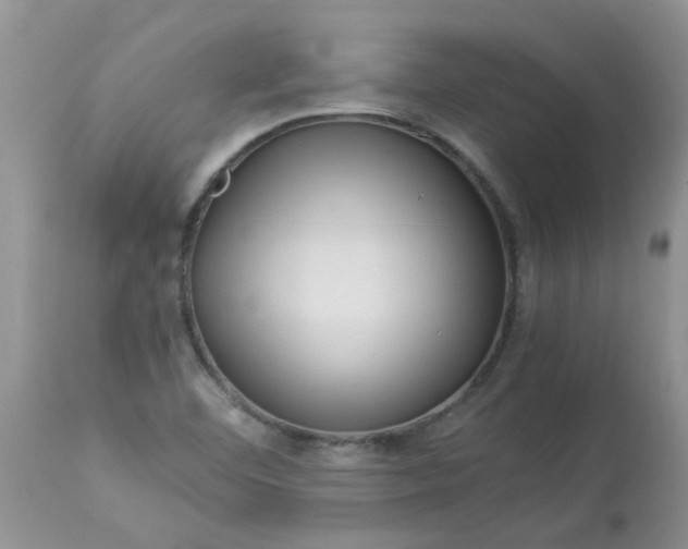 X0000112901460200909181924