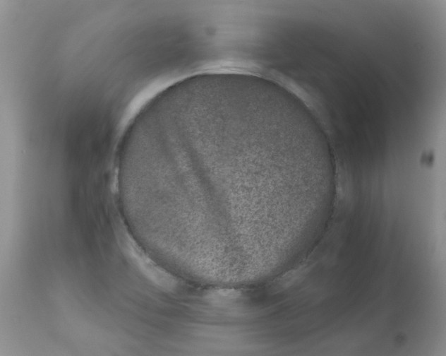 X0000112901462200909181924