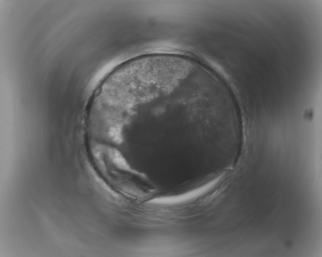 X0000112901463200909181924