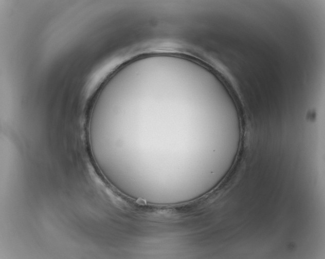 X0000112901464200909181924