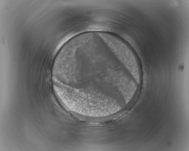 X0000112901465200909181924