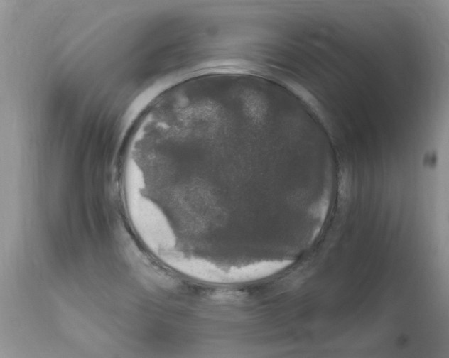 X0000112901466200909181924
