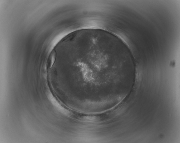 X0000112901468200909181924