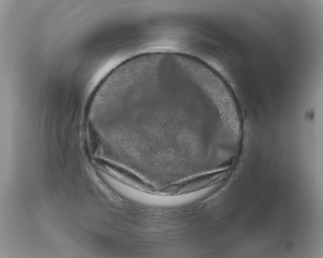 X0000112901469200909181924