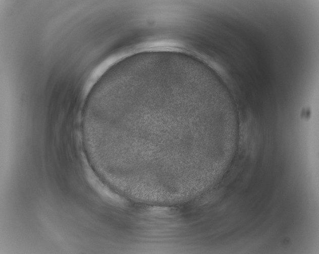 X0000112901470200909181924