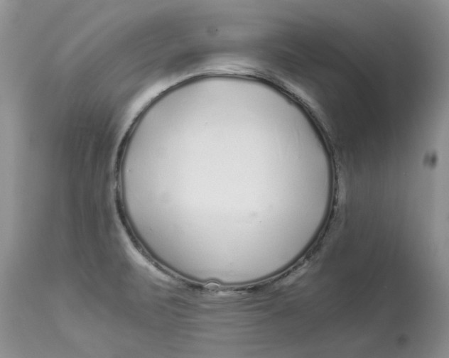 X0000112901471200909181924