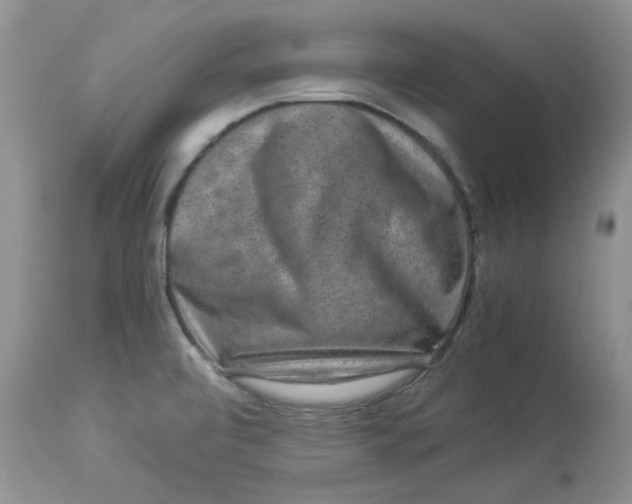 X0000112901472200909181924
