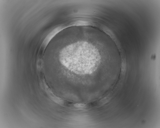 X0000112901473200909181924