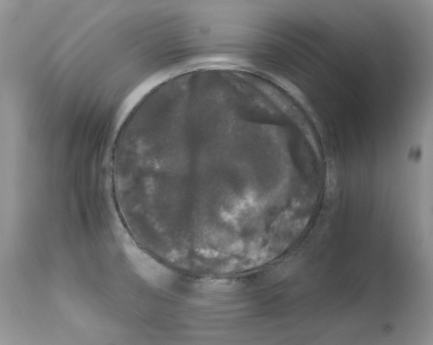 X0000112901474200909181924