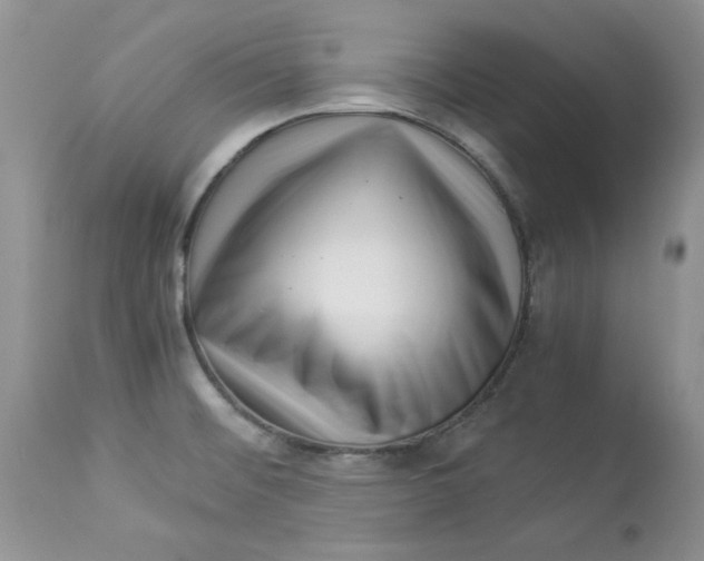 X0000112901476200909181924