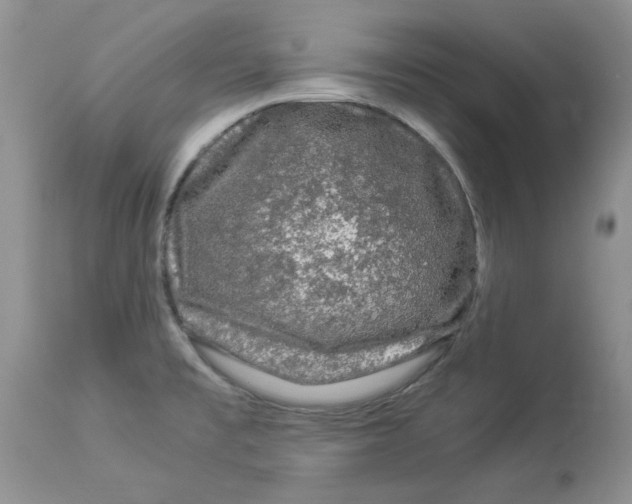 X0000112901477200909181924