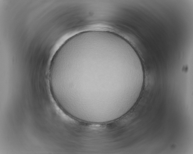 X0000112901478200909181924