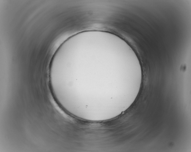 X0000112901479200909181924