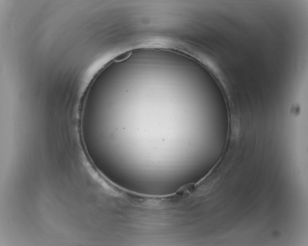 X0000112901480200909181924