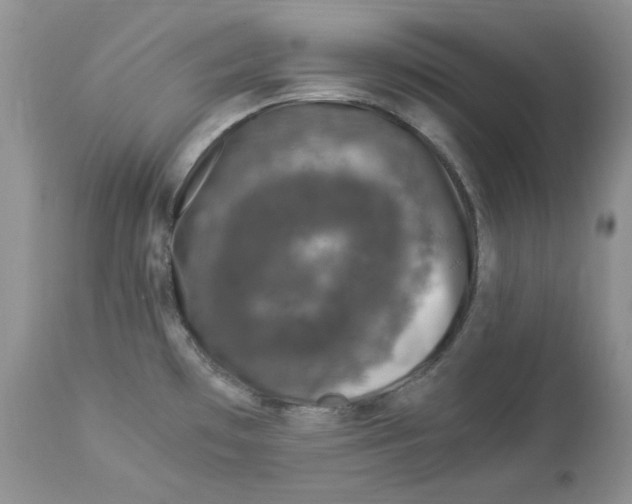 X0000112901481200909181924