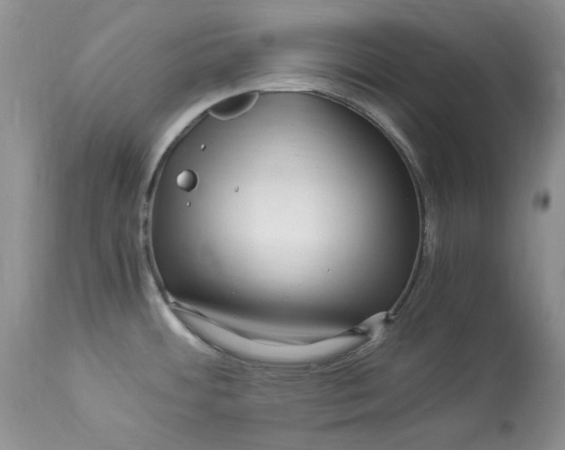 X0000112901484200909181924