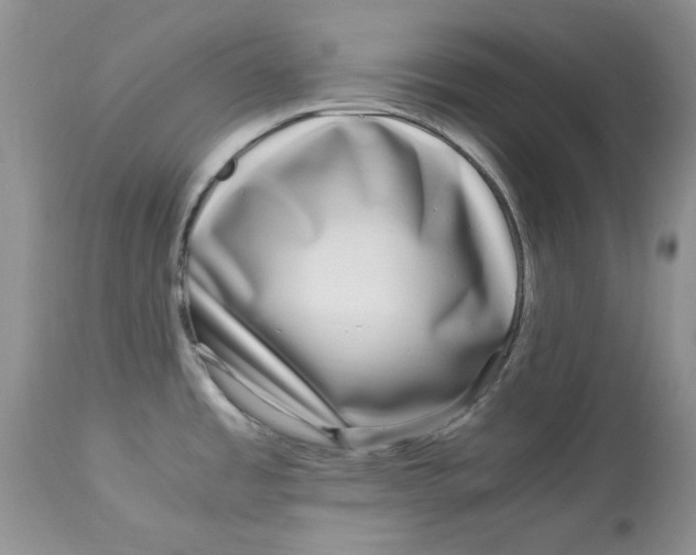 X0000112901485200909181923