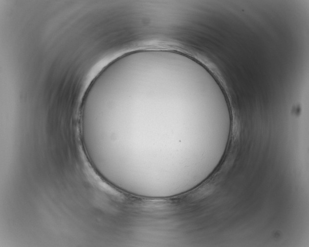 X0000112901486200909181923