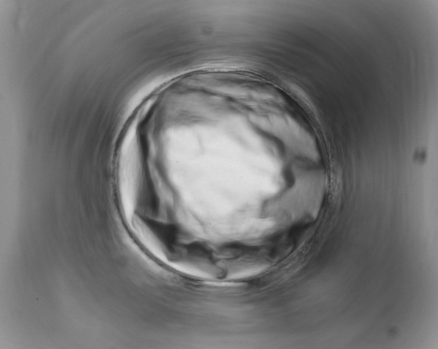 X0000112901487200909181923