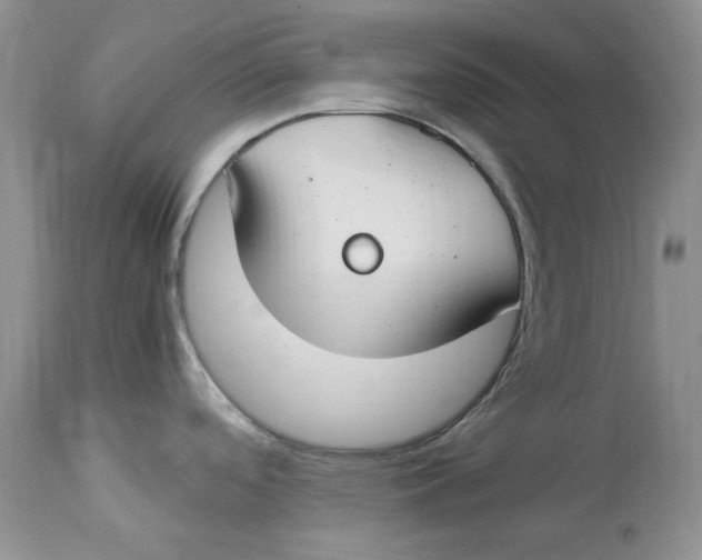 X0000112901488200909181923