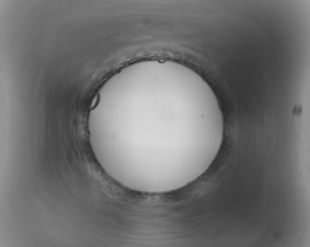X0000112901490200909181923