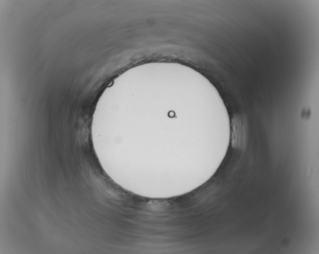 X0000112901491200909181923