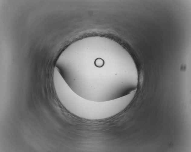 X0000112901492200909181923