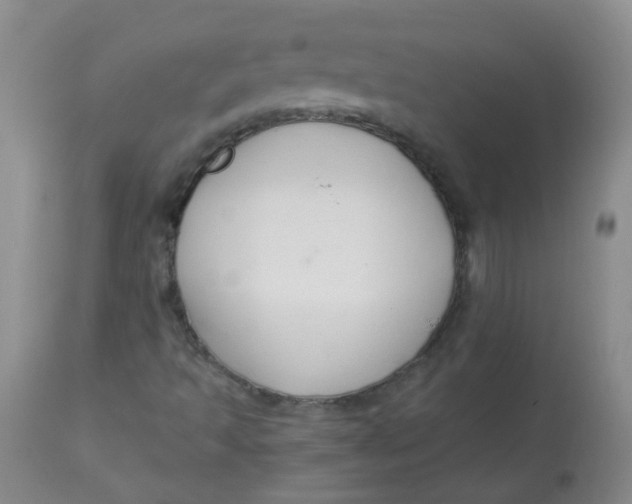 X0000112901493200909181923
