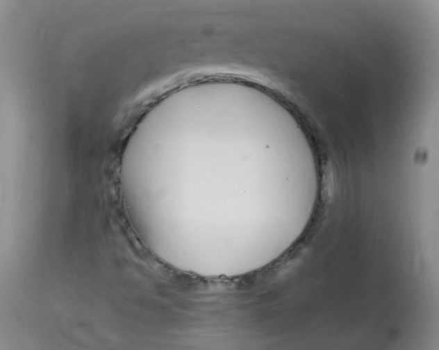 X0000112901494200909181923