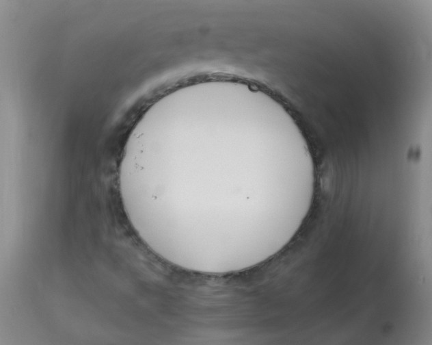 X0000112901495200909181923