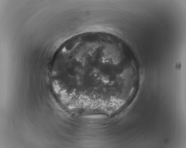 X0000112901497200909181923