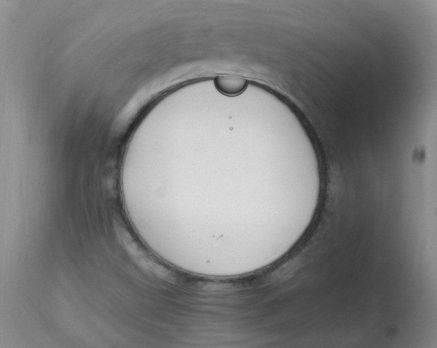 X0000112901499200909181923