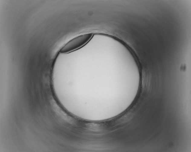 X0000112901500200909181923
