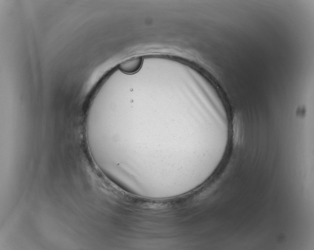 X0000112901501200909181923