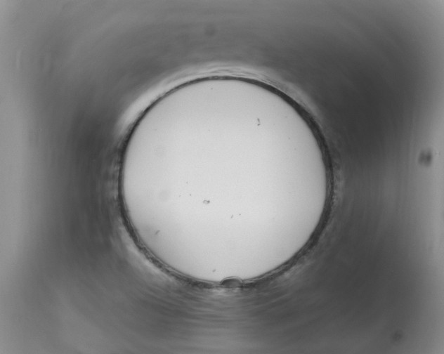 X0000112901504200909181923