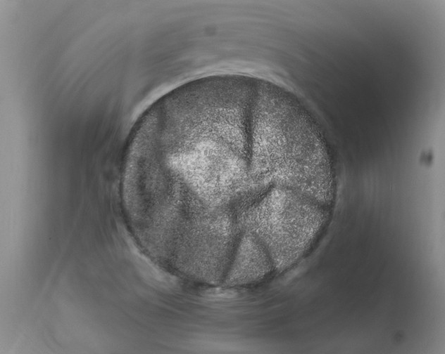 X0000112901505200909181923