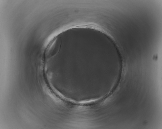 X0000112901506200909181923