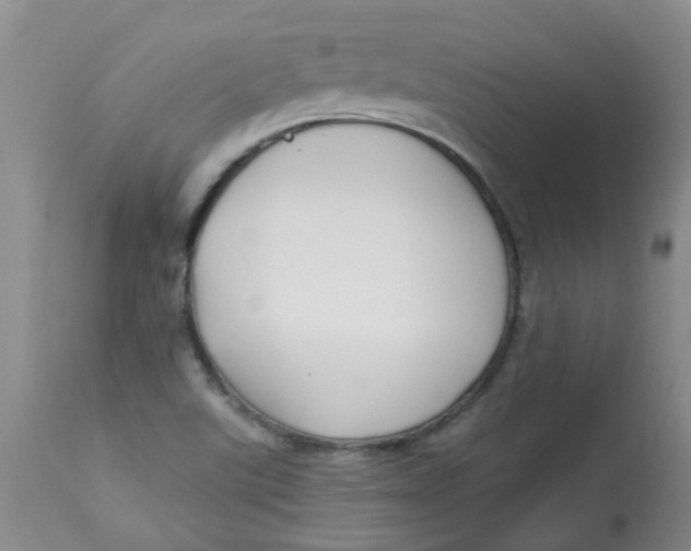 X0000112901507200909181923
