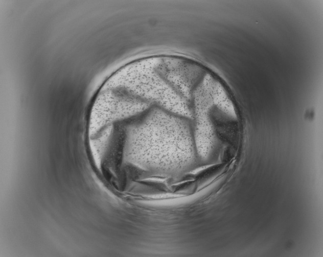 X0000112901508200909181923